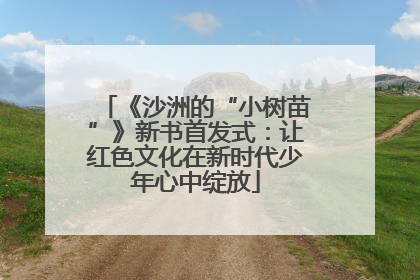 《沙洲的“小树苗”》新书首发式：让红色文化在新时代少年心中绽放
