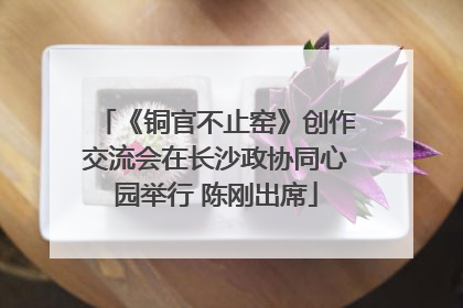 《铜官不止窑》创作交流会在长沙政协同心园举行 陈刚出席