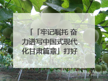 「牢记嘱托 奋力谱写中国式现代化甘肃篇章」打好“三北”工程攻坚战 筑牢国家西部生态安全屏障