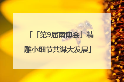 「第9届南博会」精雕小细节共谋大发展