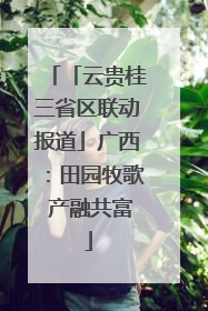 「云贵桂三省区联动报道」广西：田园牧歌 产融共富