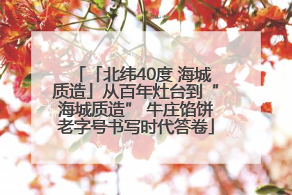 「北纬40度 海城质造」从百年灶台到“海城质造” 牛庄馅饼老字号书写时代答卷