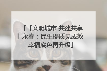 「文明城市 共建共享」永春：民生提质见成效 幸福底色再升级