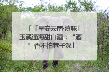 「早安云南·滇味」玉溪通海甜白酒：“酒”香不怕巷子深