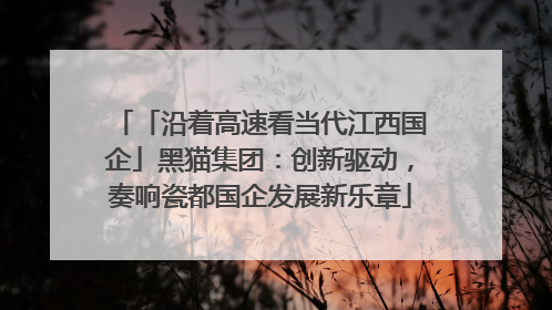「沿着高速看当代江西国企」黑猫集团：创新驱动，奏响瓷都国企发展新乐章