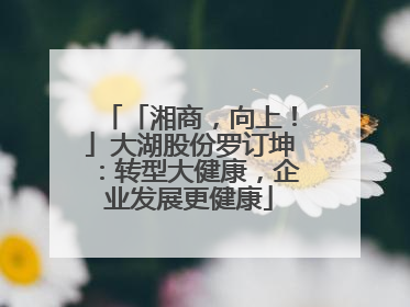 「湘商，向上！」大湖股份罗订坤：转型大健康，企业发展更健康