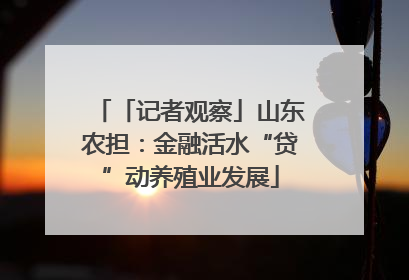 「记者观察」山东农担：金融活水“贷”动养殖业发展