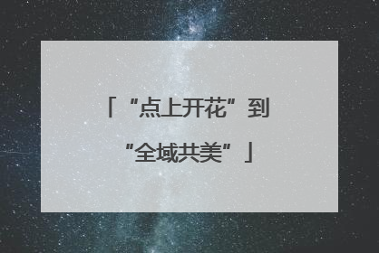 “点上开花”到“全域共美”