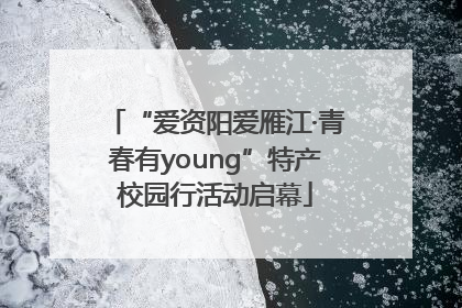 “爱资阳爱雁江·青春有young”特产校园行活动启幕
