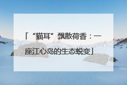 “猫耳”飘散荷香：一座江心岛的生态蜕变