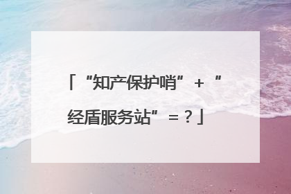 “知产保护哨”+“经盾服务站”=？