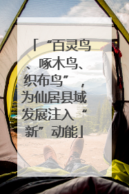 “百灵鸟、啄木鸟、织布鸟”，为仙居县域发展注入“新”动能