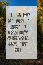 “禹上稻乡”海外“圈粉” 19名外国学员探访余杭共富“稻”路