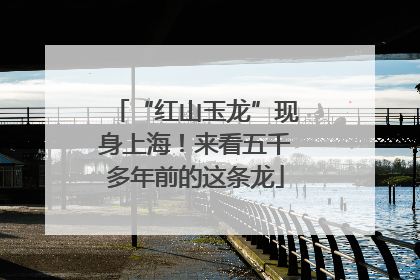 “红山玉龙”现身上海！来看五千多年前的这条龙