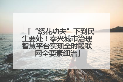 “绣花功夫”下到民生要处！泰兴城市治理智慧平台实现全时段联网全要素细治