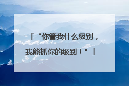“你管我什么级别，我能抓你的级别！”