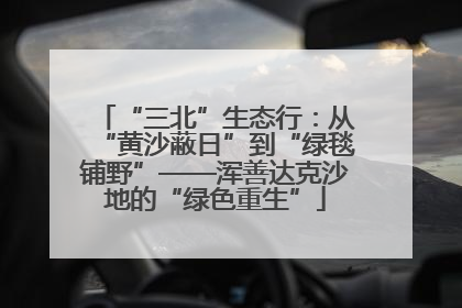 “三北”生态行：从“黄沙蔽日”到“绿毯铺野”——浑善达克沙地的“绿色重生”