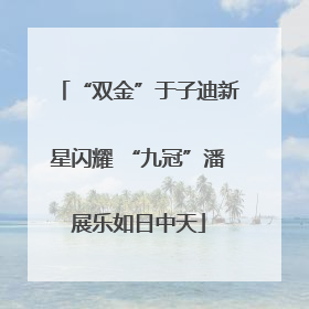 “双金”于子迪新星闪耀 “九冠”潘展乐如日中天