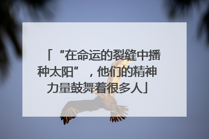 “在命运的裂缝中播种太阳”，他们的精神力量鼓舞着很多人
