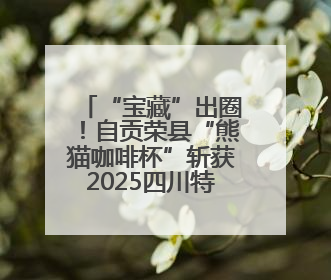 “宝藏”出圈！自贡荣县“熊猫咖啡杯”斩获2025四川特色旅游商品大赛铜奖