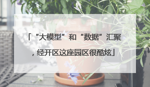 “大模型”和“数据”汇聚，经开区这座园区很酷炫