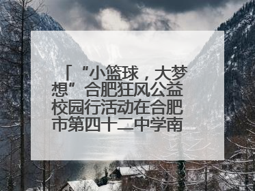 “小篮球，大梦想”合肥狂风公益校园行活动在合肥市第四十二中学南城分校圆满落幕