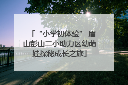 “小学初体验” 眉山彭山二小助力区幼萌娃探秘成长之旅