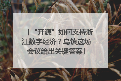 “开源”如何支持浙江数字经济？乌镇这场会议给出关键答案