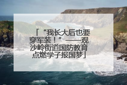 “我长大后也要穿军装！”——观沙岭街道国防教育点燃学子报国梦