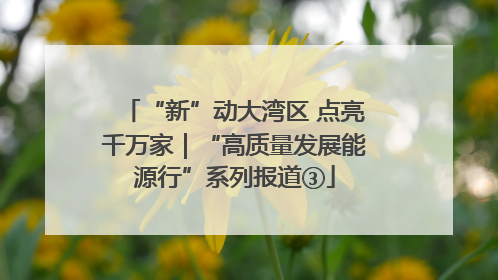 “新”动大湾区 点亮千万家｜“高质量发展能源行”系列报道③