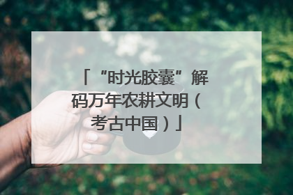 “时光胶囊”解码万年农耕文明（考古中国）
