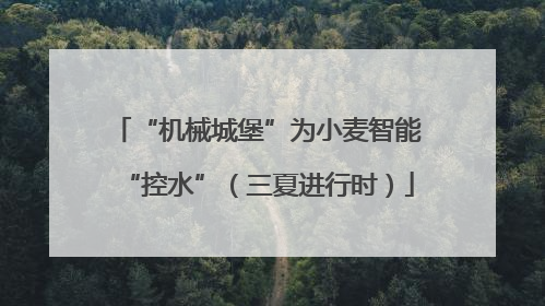“机械城堡”为小麦智能“控水”（三夏进行时）