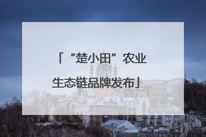 “楚小田”农业生态链品牌发布