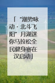 “潮势咏动・北斗飞阳”月湖迷你马拉松全民健身赛在汉启动