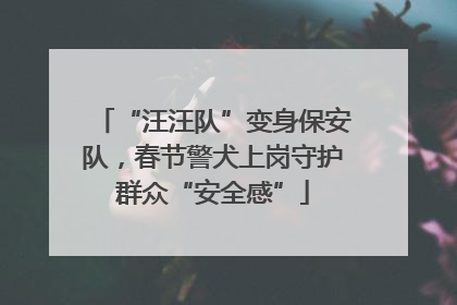 “汪汪队”变身保安队，春节警犬上岗守护群众“安全感”