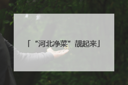 “河北净菜”靓起来