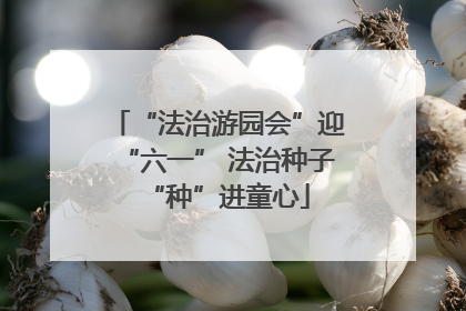 “法治游园会”迎“六一” 法治种子“种”进童心