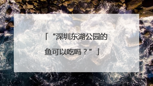 “深圳东湖公园的鱼可以吃吗？”