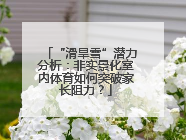 “滑旱雪”潜力分析：非实景化室内体育如何突破家长阻力？