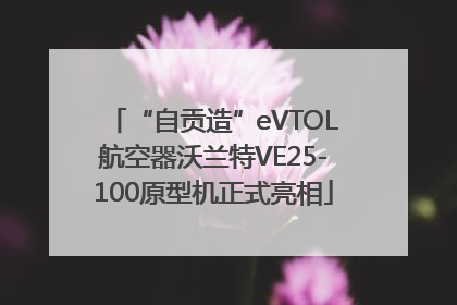 “自贡造”eVTOL航空器沃兰特VE25-100原型机正式亮相