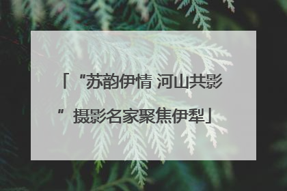 “苏韵伊情 河山共影”摄影名家聚焦伊犁