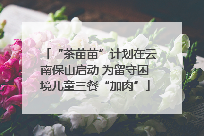 “茶苗苗”计划在云南保山启动 为留守困境儿童三餐“加肉”