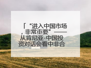 “进入中国市场，非常重要”——从肯尼亚-中国投资对话会看中非合作机遇