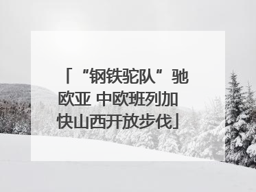 “钢铁驼队”驰欧亚 中欧班列加快山西开放步伐