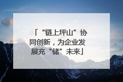 “链上坪山”协同创新，为企业发展充“储”未来