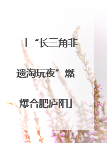 “长三角非遗淘玩夜”燃爆合肥庐阳