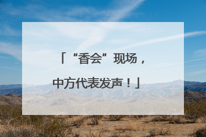“香会”现场，中方代表发声！