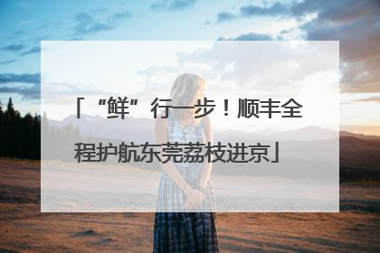 “鲜”行一步！顺丰全程护航东莞荔枝进京