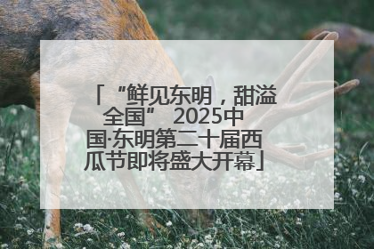 “鲜见东明，甜溢全国” 2025中国·东明第二十届西瓜节即将盛大开幕