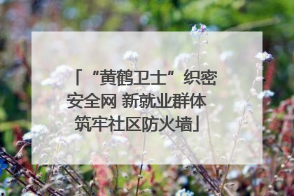 “黄鹤卫士”织密安全网 新就业群体筑牢社区防火墙